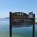 영월항 이미지