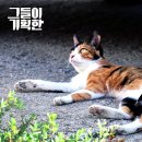 이기획