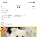 이따리아 이미지