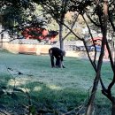 보며 - 청주시 국사봉(<b>172</b>)~상봉산(193.4), 응봉산(175.9)