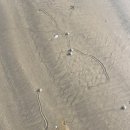 바다가 되고싶은 비 | [태안] 바다가되고싶은비😍풀빌라 일몰뷰 인피니티풀 감성숙소 내돈내산 후기