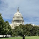 타이어나라 모조아점 | 미국 뉴욕에서 워싱턴 D.C. 당일 투어 추천 | 내돈내산 조아 뉴욕 상세 후기