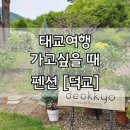 문덕교옆 | 경남 산청 펜션 숙소, 덕교 feat.태교여행의 끝판왕 강력추천