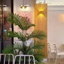 지마카롱 이미지