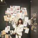 씨에스타 이미지