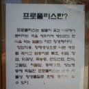 오성산장 이미지