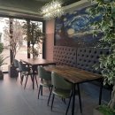 클럽 보노 이미지