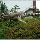 덕소자연사박물관 이미지