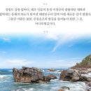 2019년 07월 27일~28일(주말) 강릉 여름은하수&쏟아지는 별1,100m 고냉지 구름위의 땅 암반데기 이미지