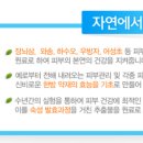 빈코스메틱