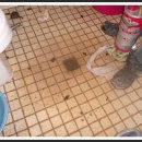 체스모텔 이미지