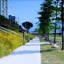 원주굽이길 원1코스 100고개길 이미지