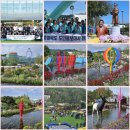 월악보건진료소 | 제천시, 중국발 코로나19 엔데믹(풍토병화) 총력대응-2025제천국제한방천연물산업엑스포조직위원회(조직...
