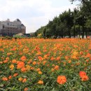 서울선사초등학교 이미지