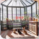 워너비 동물병원 | 강서구 포메라니안분양 장기적 만족을 위한 완벽 가이드