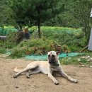 오남농장 이미지