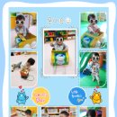 수림 어린이집 이미지