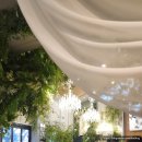 헤세드 | 토브헤세드 하객 후기 도심 속 정원의 영화 같은 결혼식💐✨