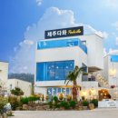 아름다운 애견 이미지