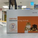 터미널스타약국 이미지