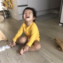 얌마과일 이미지