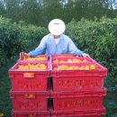 구인농장 이미지