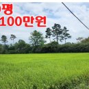 복나눔공인중개사사무소 이미지