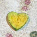 코하마 | 일산 프라이빗 철판 코스요리 [코하마] 솔직 후기