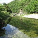 횡성토종닭 이미지