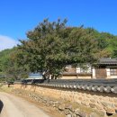 돈수재 이미지