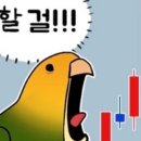 고기놀이터