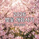 오전댐 왕벚나무 | 2026 전국 벚꽃 개화시기 총정리, 지역별 만개일과 놀러가기 딱 좋은 날