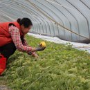 거전농장 이미지