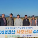 뉴터