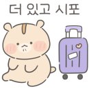 써니호텔 이미지