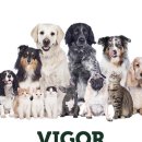 멍믈리에 이미지