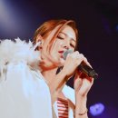 삼바 파고지 이미지