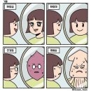 매일다이어트