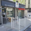 삐삐애견샵 이미지