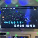 라파 노래연습장 네이버블로그
