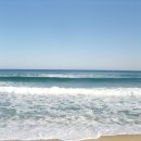 동해바다 이미지