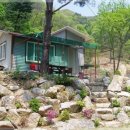 야인시대 | 춘천 계곡 펜션 추천, 매년 찾는 야인시대펜션 솔직후기