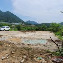 고성목장 이미지