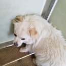 태백운수 이미지