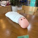 부부 | 💚 쉼 산후조리원 부부특강 후기 | 출산 전 꼭 들어야 하는 교육!