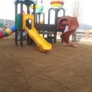 단촌초등학교 병설유치원 이미지