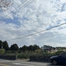 파스타시즌 이미지