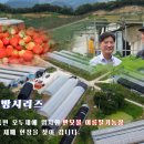 메디풀(Medipool) 네이버블로그