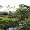 북면수변공원(야구장) | 창원근교 :: 북면 수변생태공원