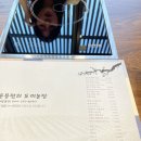 솔직후기_윤용현의 도끼농장 세종나성점